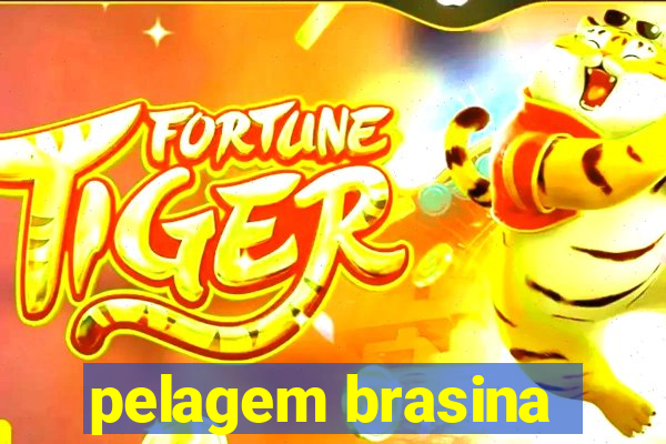 pelagem brasina